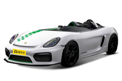 981 Bergspyder