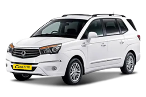 ssangyong LuDi