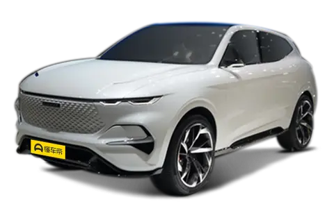 Haval vision2025