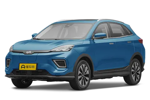 WM Motor EX5