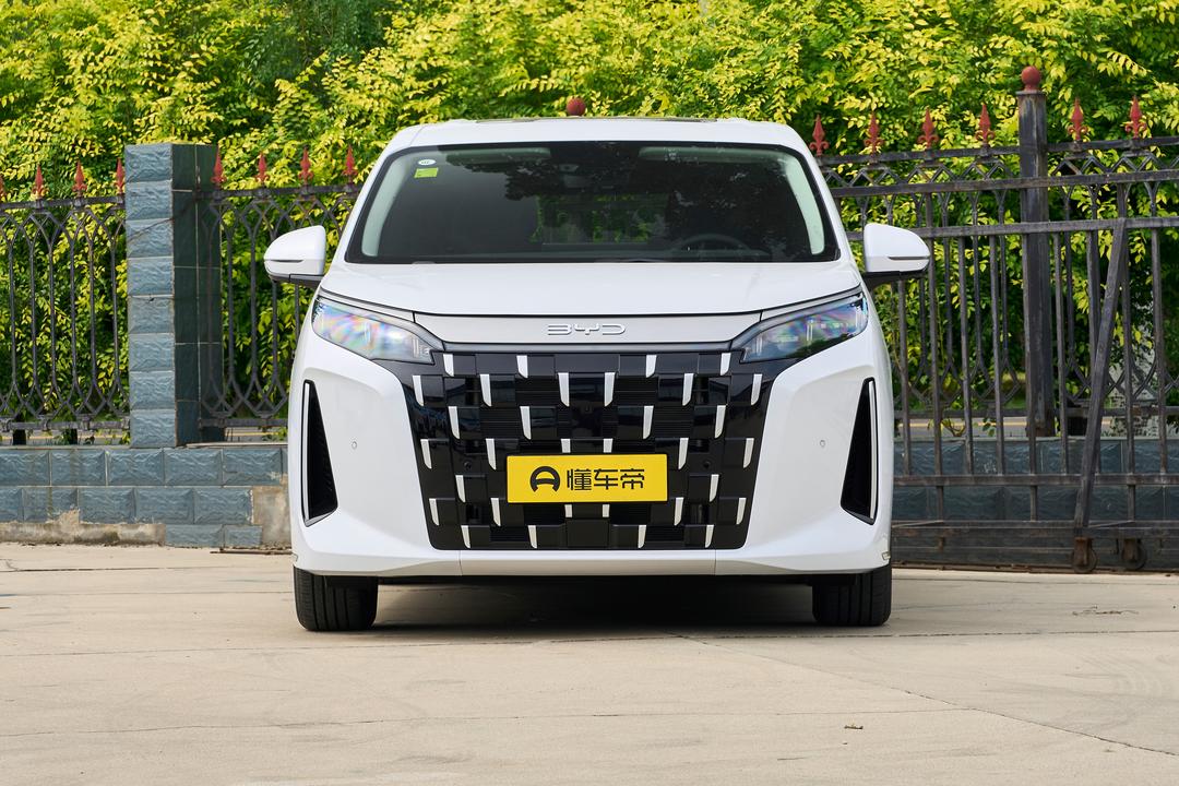 BYD M9 2026, фото 2