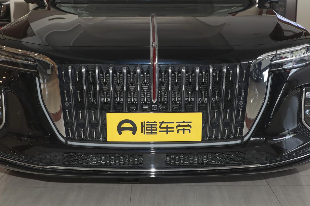 Hongqi H9 2026, фото 10
