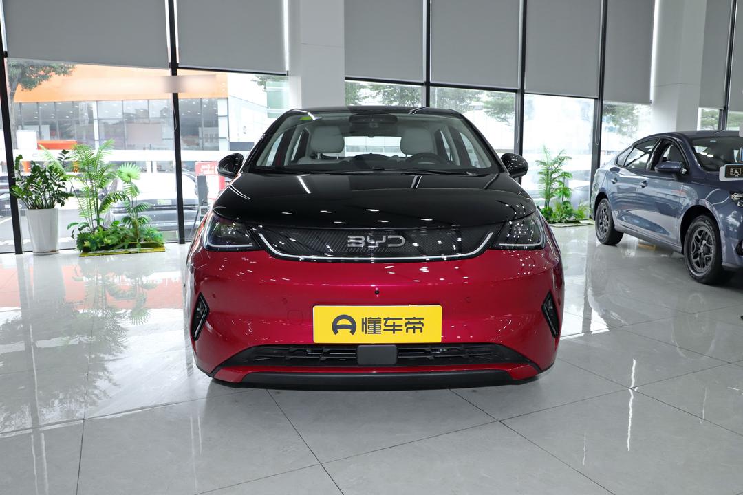 BYD Dolphin 2026, фото 2