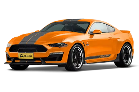 SHELBY GTE