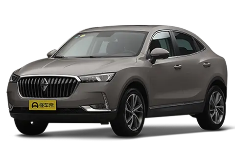 BORGWARD BX6