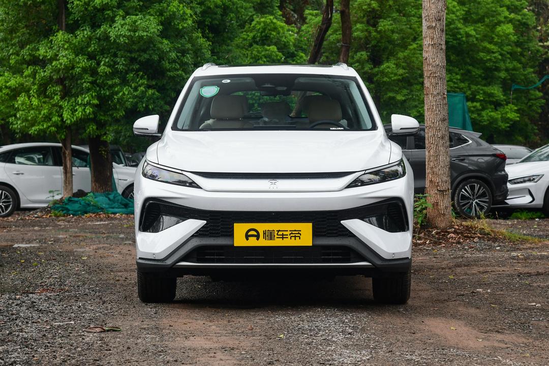 BYD Song Pro DM 2026, фото 2