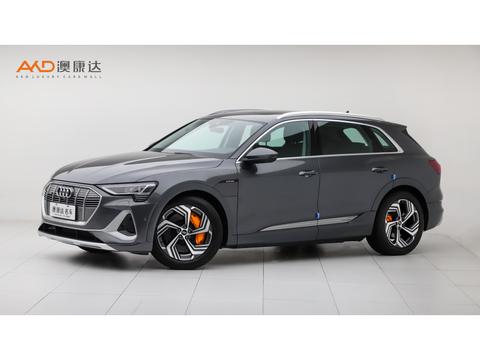 Audi e-tron 2021 50 quattro Pegasus