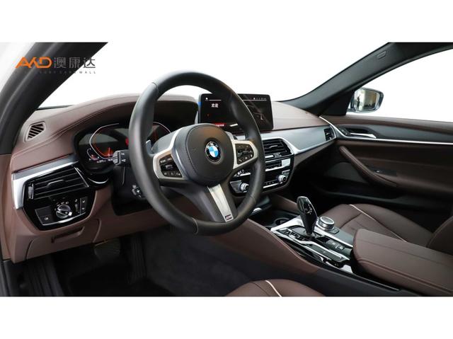 BMW 5-Series 2022 530 Li Leading M — фото 6
