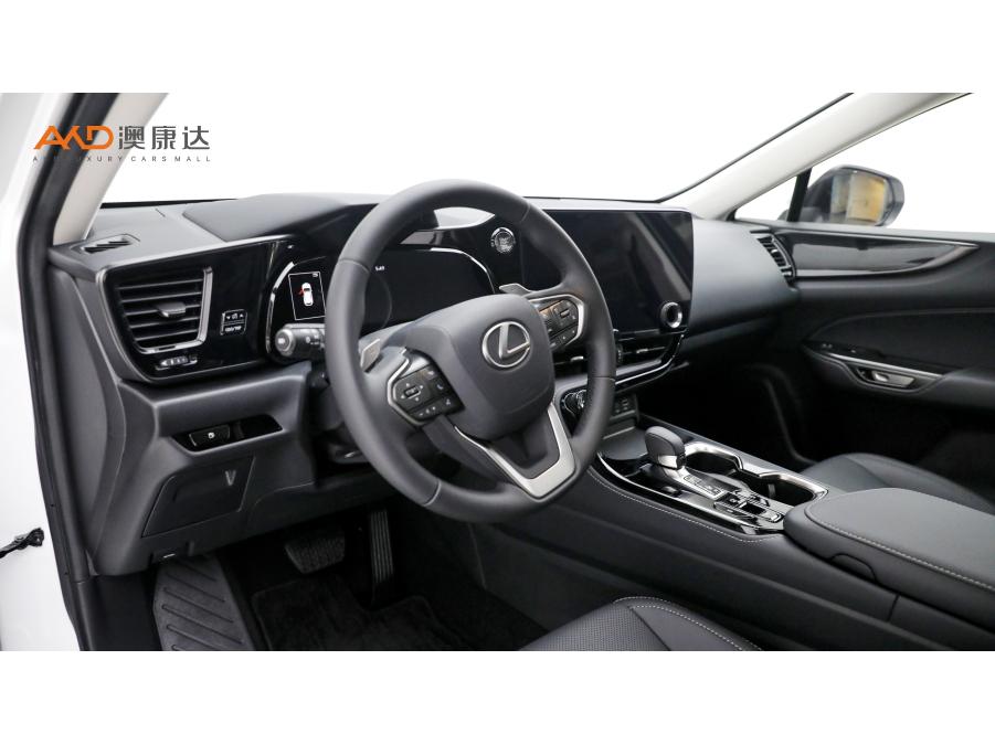 Lexus NX, фото 7