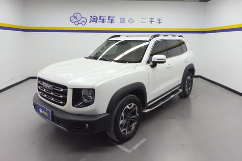 Havoc Big Dog 2021 2.0T 4WD Chinese Garden Dog Edition