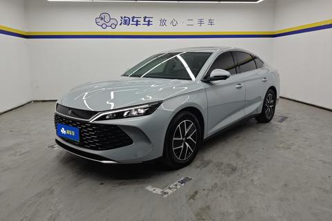 Qin L DM 2024 120KM transcendent Type