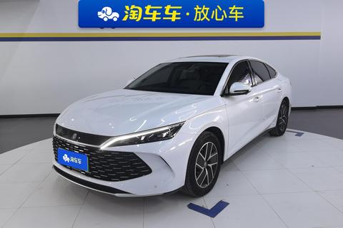 Qin L DM 2024 120KM transcendent Type