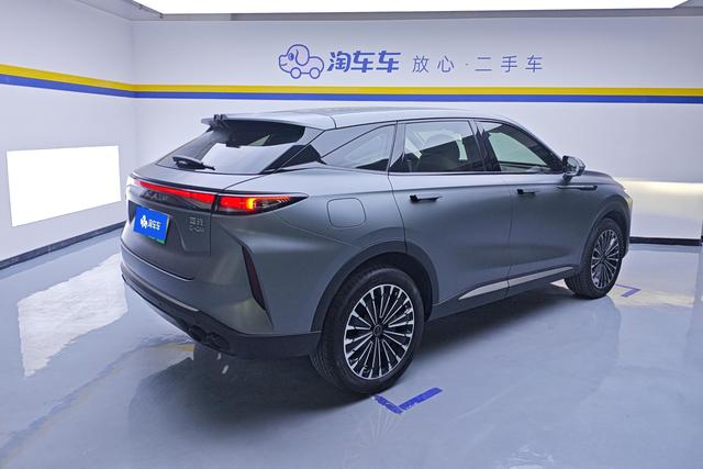 Star Path Starway Yaoguang C-DM 2024 — фото 3
