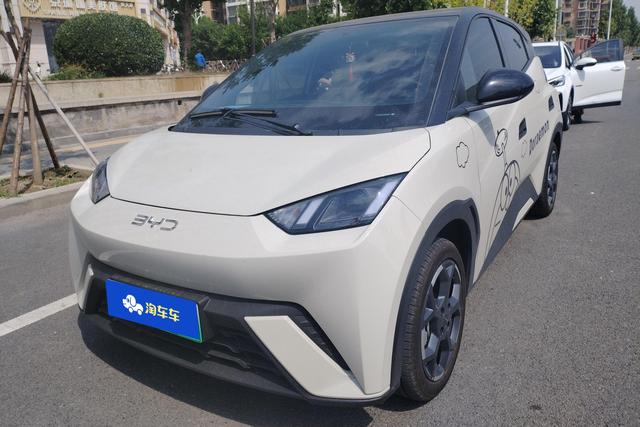 BYD Seagull 2024 года выпуска