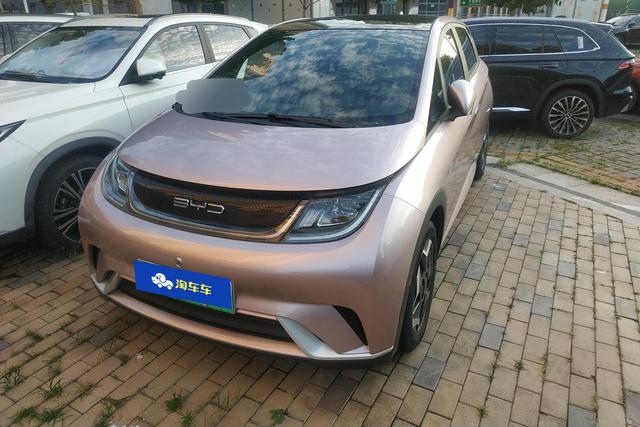 BYD Dolphin 2021 года выпуска