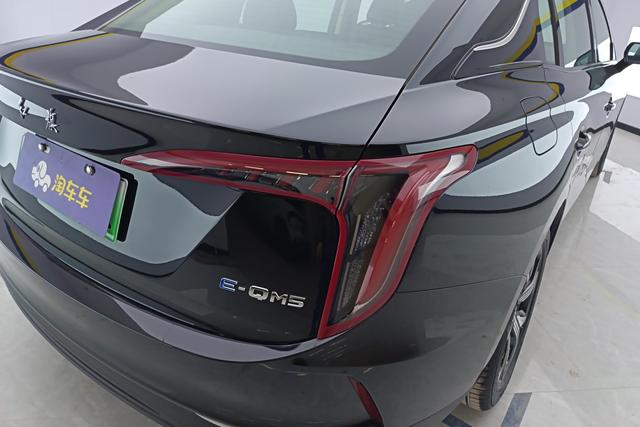 Red flag E-QM5 2024 Черный из Китая, фото 2