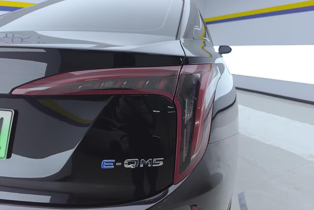 Red flag E-QM5 2024 Черный из Китая