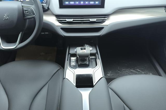 Red flag E-QM5 2024 Черный из Китая, фото 2