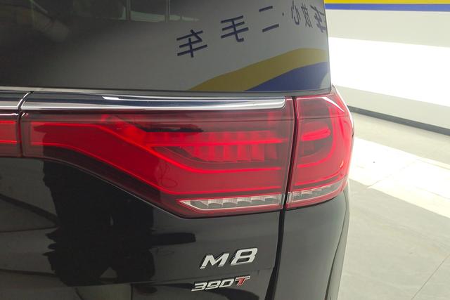 Trumpchi M8 2023 390 T — фото 5