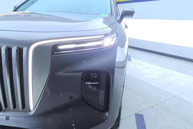 Hongqi E-HS9 2020 460km — фото 4