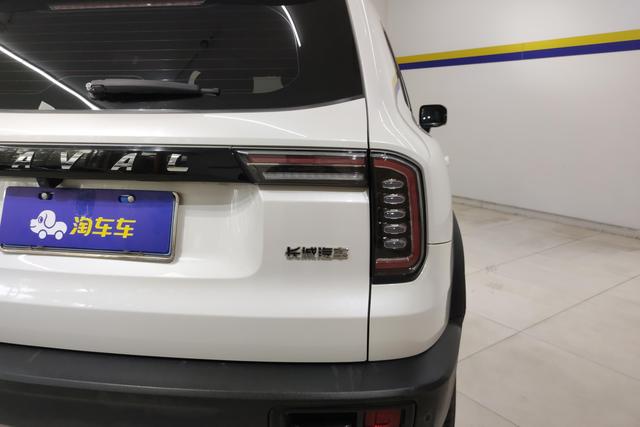 Haval Big dog 2021 Белый из Китая, фото 2