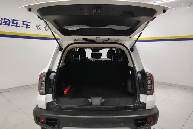 Haval Big dog 2021 Белый из Китая, фото 5