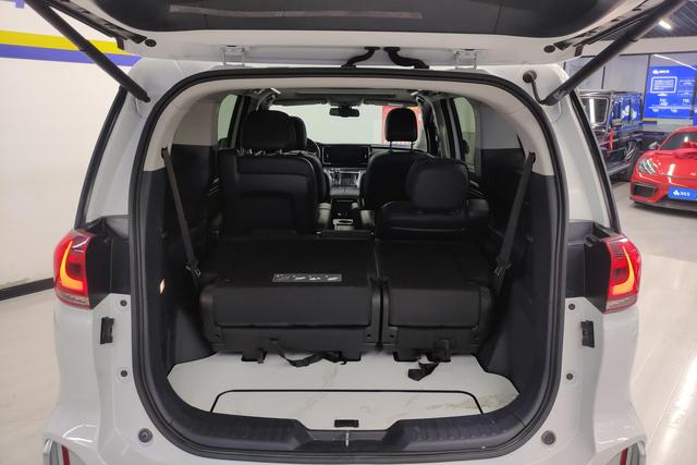 Gac Trumpchi Trumpchi M8 2023 — фото 16