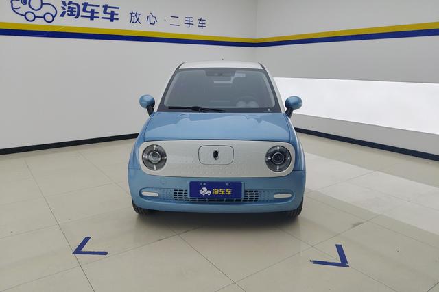 Euler Black cat 2021 Синий из Китая, фото 3