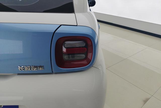 Euler Black cat 2021 Синий из Китая, фото 4