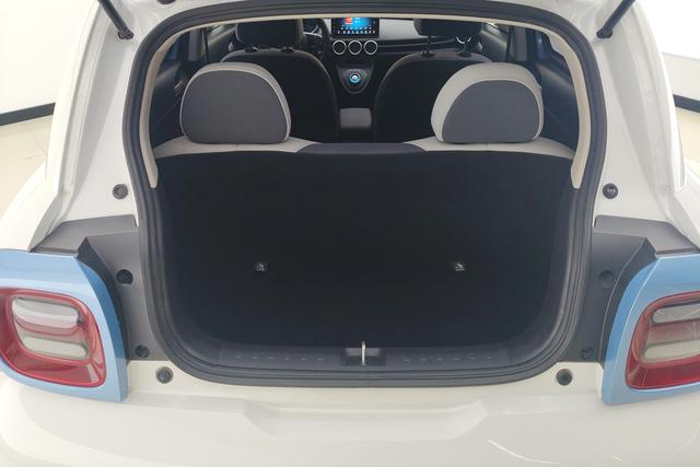 Euler Black cat id 3781560 из Китая 13