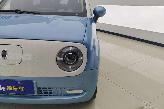 Euler Black cat id 3781560 из Китая 14