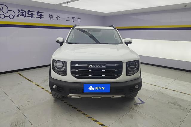 Haval Big dog id 3768977 из Китая 11