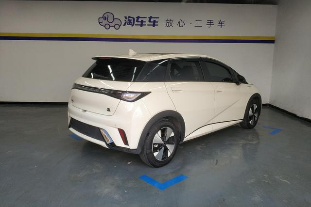 BYD dolphin 2024 Желтый из Китая, фото 2