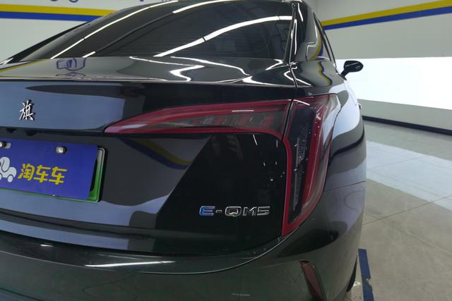 Red flag E-QM5 2023 Черный из Китая, фото 4