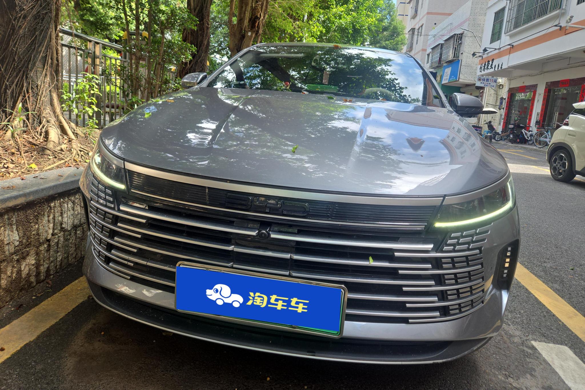 BYD Destroyer 05 05 2023 DM-i Champion 55KM Luxury