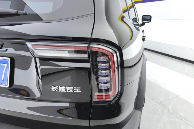 Haval Big dog id 3840632 из Китая 10