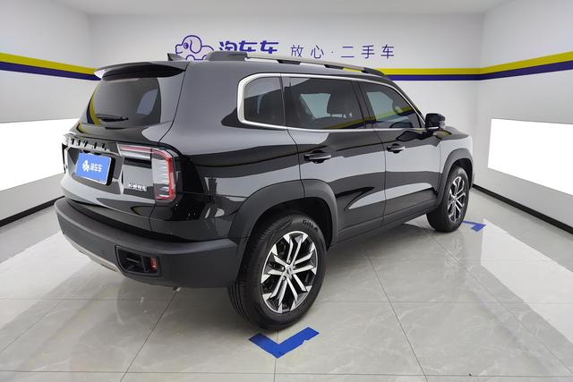 Haval Big dog id 3840632 из Китая 11