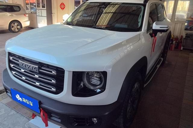 Haval Big dog id 3782865 из Китая 8