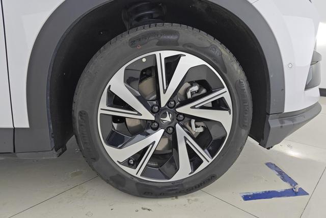 ARCFOX Extreme Fox Polar Fox Alpha T5 2024 Белый из Китая, фото 3