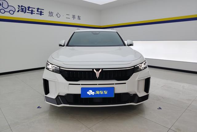 Lan Tu FREE id 3810378 из Китая 16