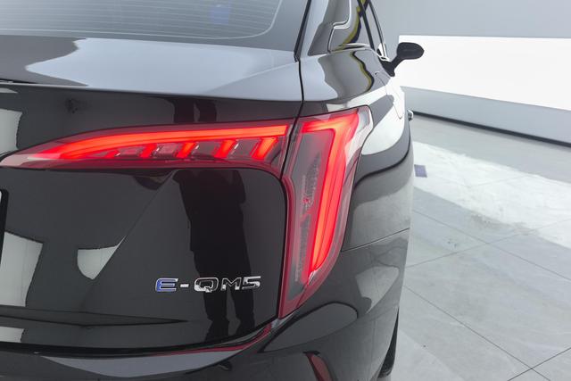 Red flag E-QM5 2023 Черный из Китая, фото 6