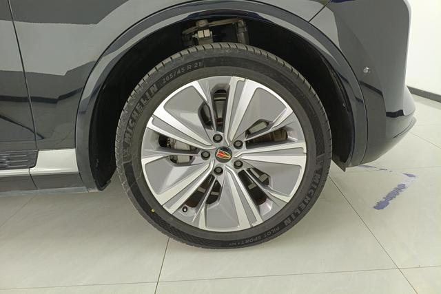 Red flag E-HS9 2023 Черный из Китая, фото 3