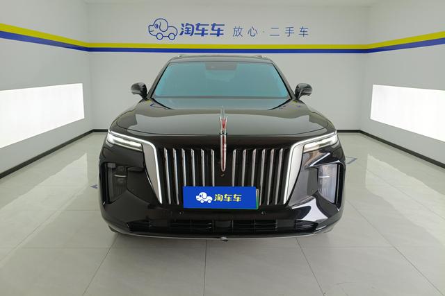 Red flag E-HS9 2023 Черный из Китая, фото 6