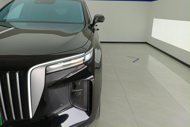 Red flag E-HS9 id 3810042 из Китая 14