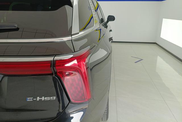 Red flag E-HS9 id 3810042 из Китая 16