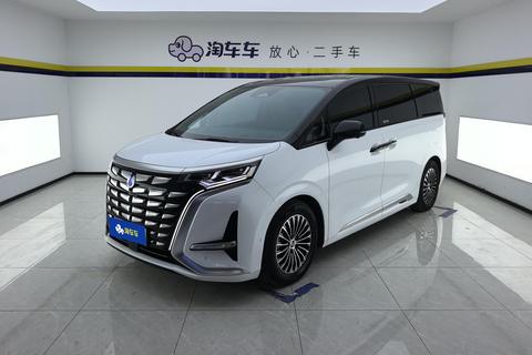 Denza D9