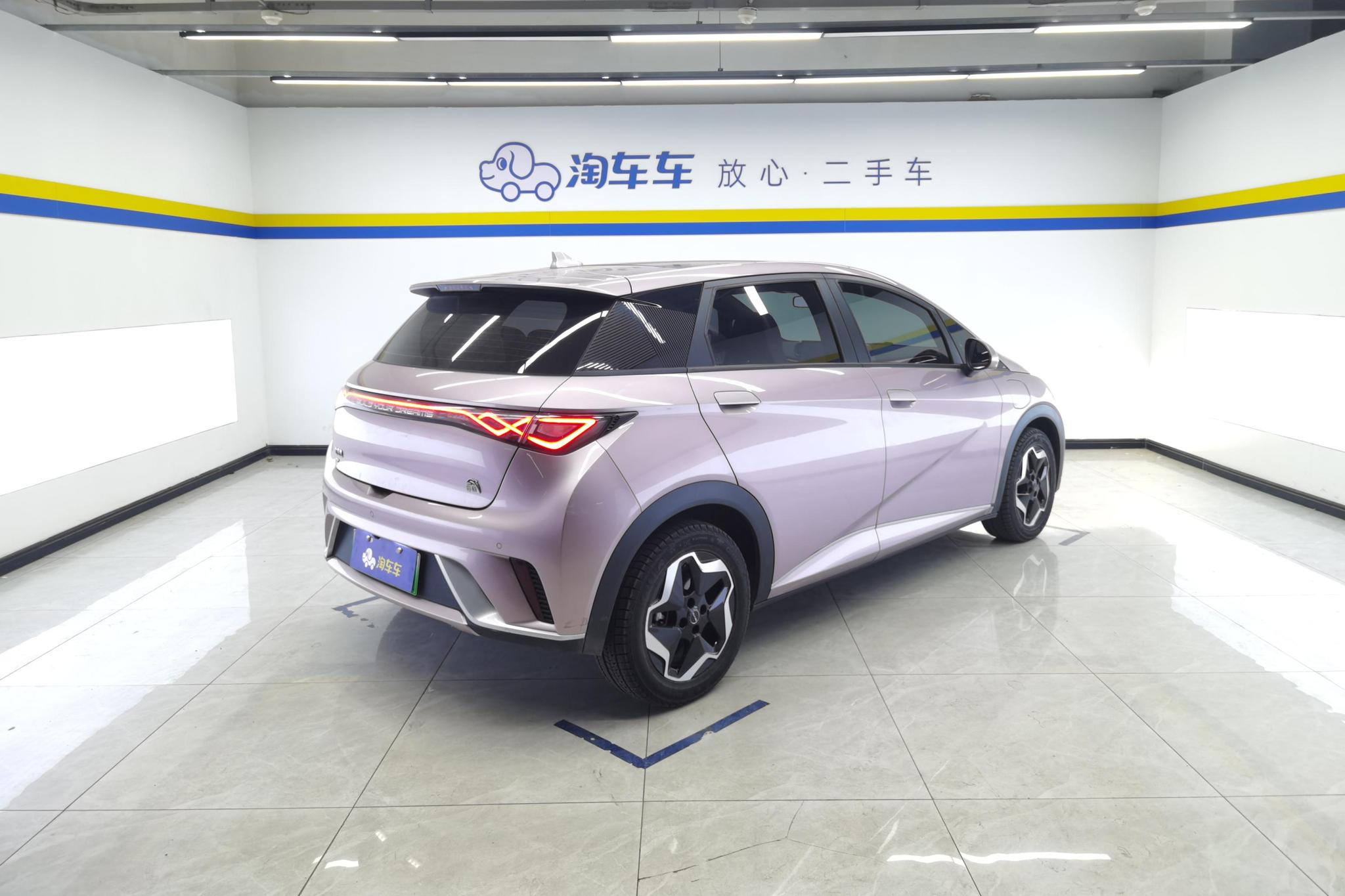 BYD Dolphin 2021 Fashion