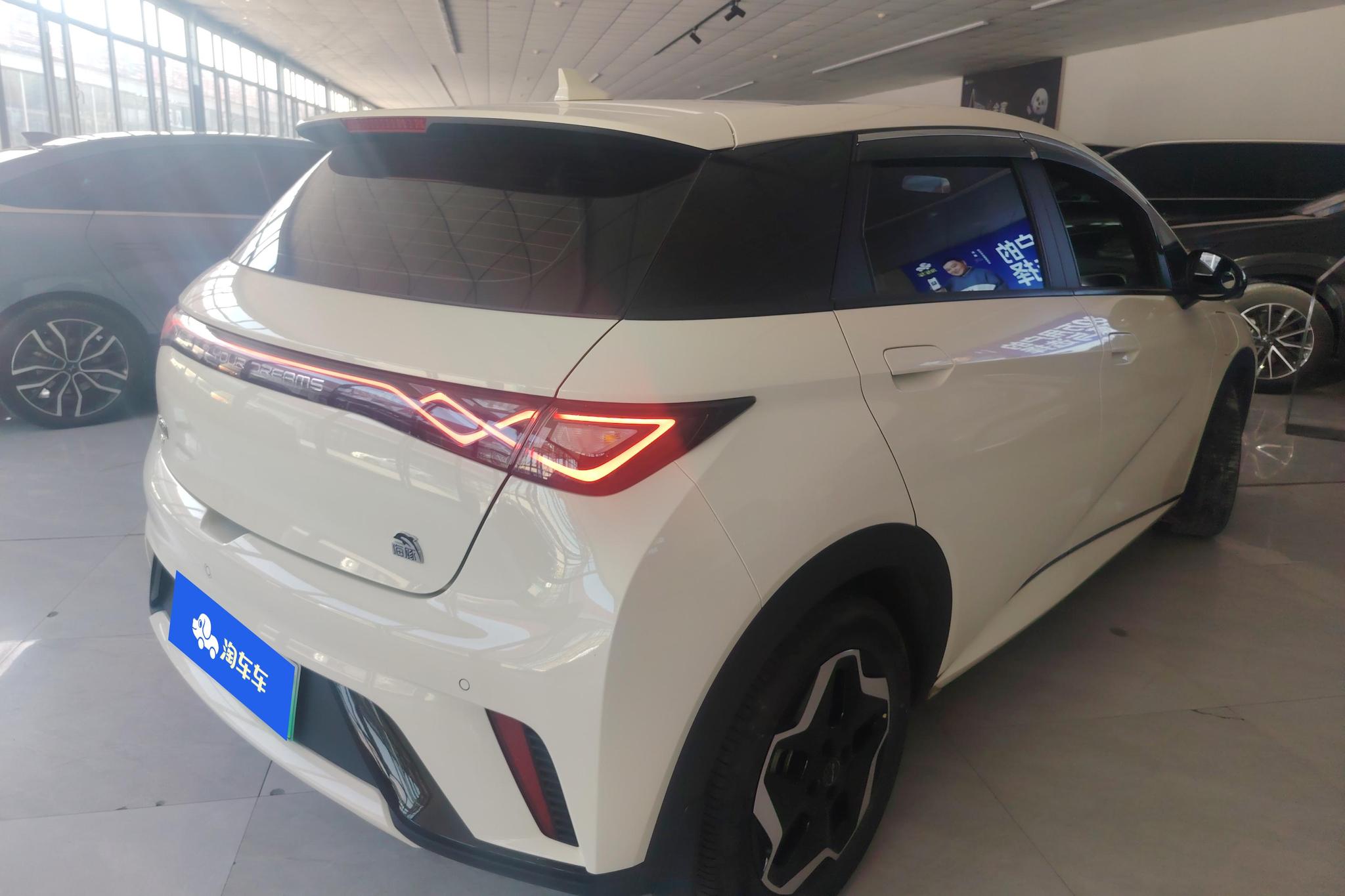 BYD Dolphin 2021 Fashion