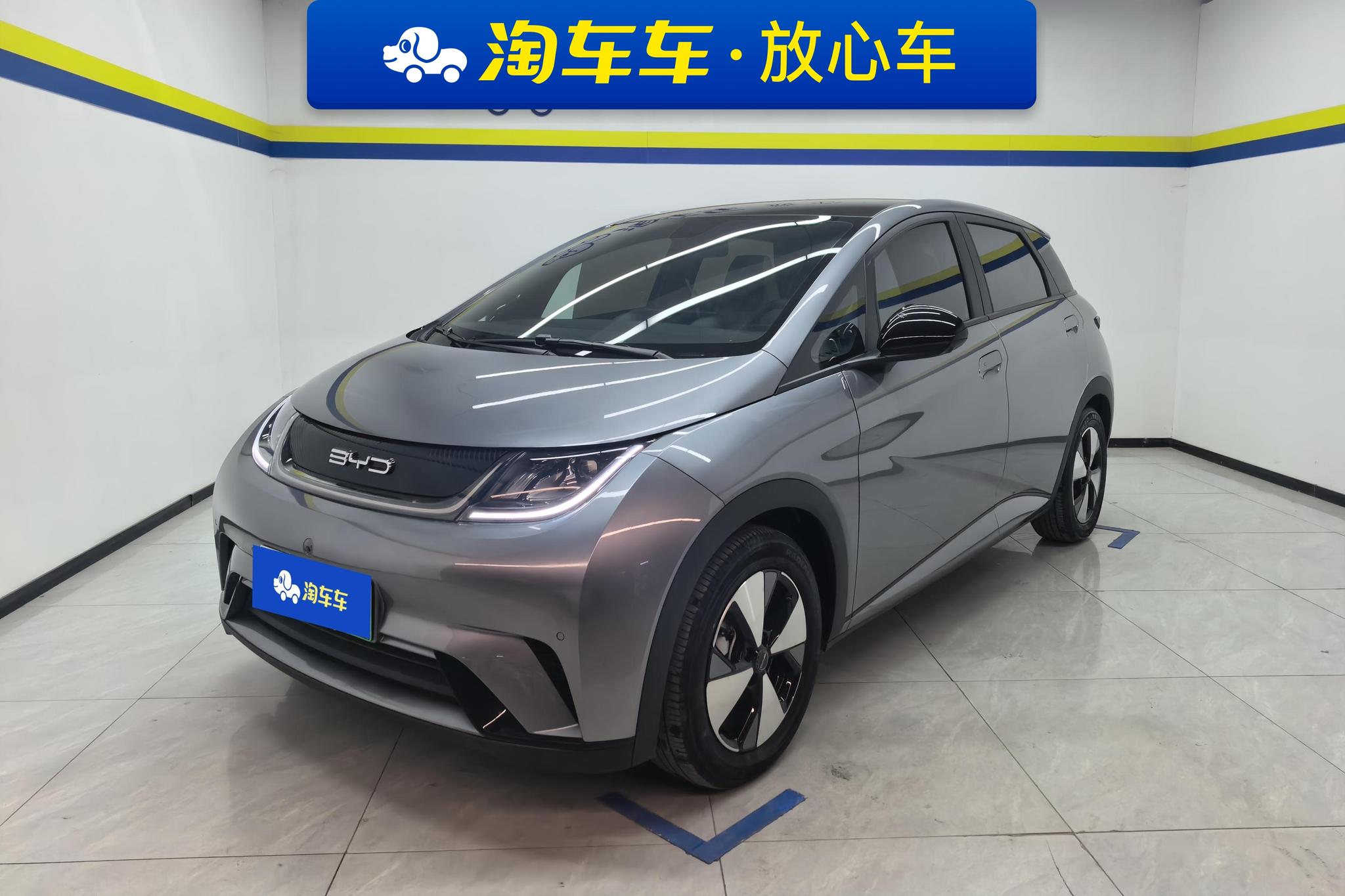 BYD Dolphin