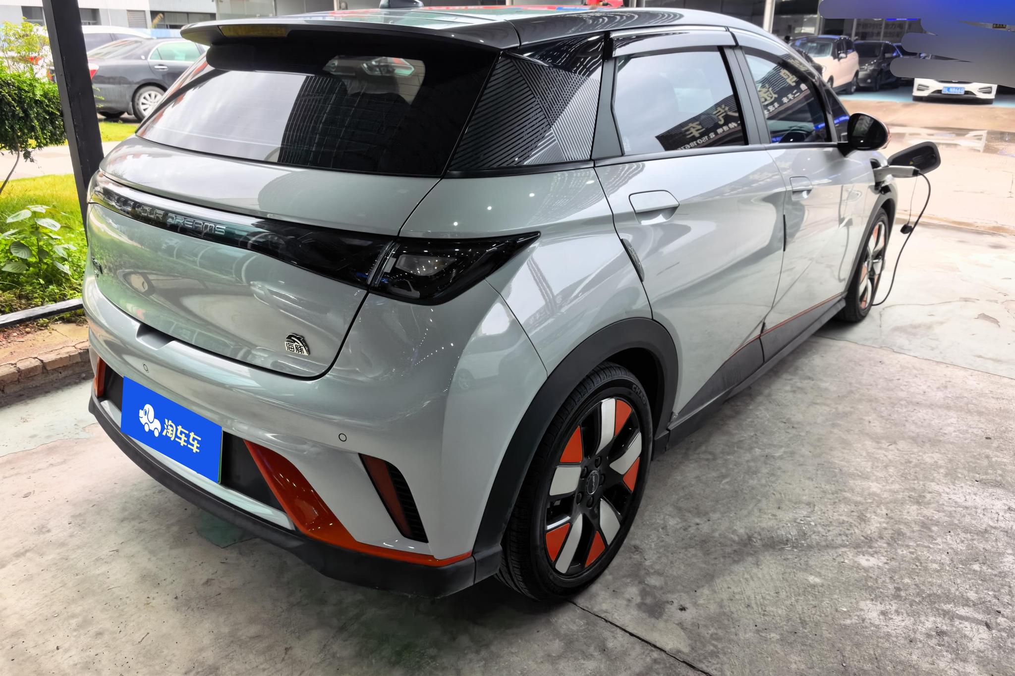BYD Dolphin